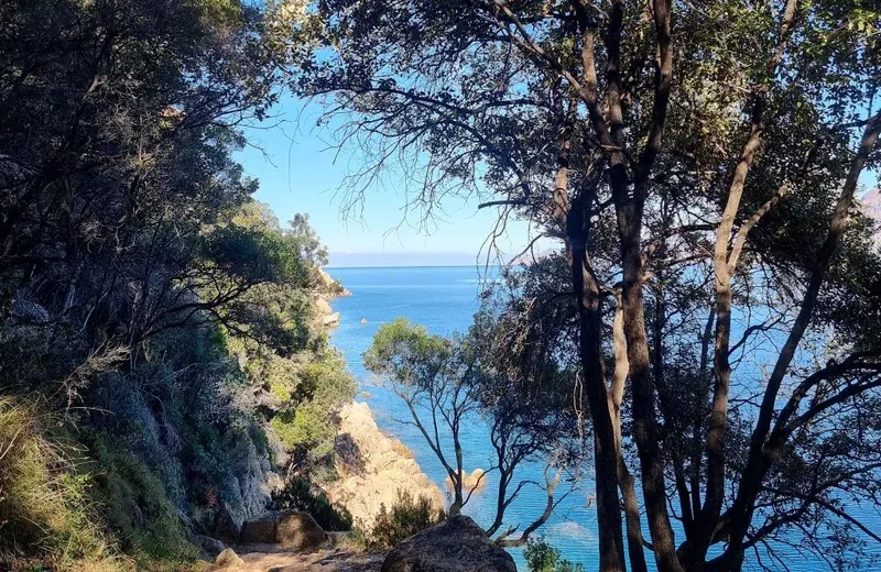 The turquoise sea seen from the path down to Mesarinu beach, Partinello