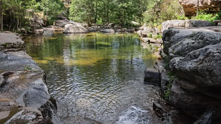 A clear pool between the rocks in the Aïtone forest