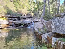 Turquoise pools in the laricio pine forest of Aïtone