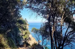 A view of the turquoise sea through the trees, on the path between Caspiu and Mesarinu
