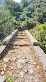 The Pinello footbridge, stone deck and steps amid the vegetation