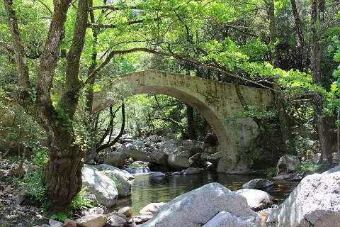 Genuesische Brücke auf dem schattigen Saumpfad der Spelunca