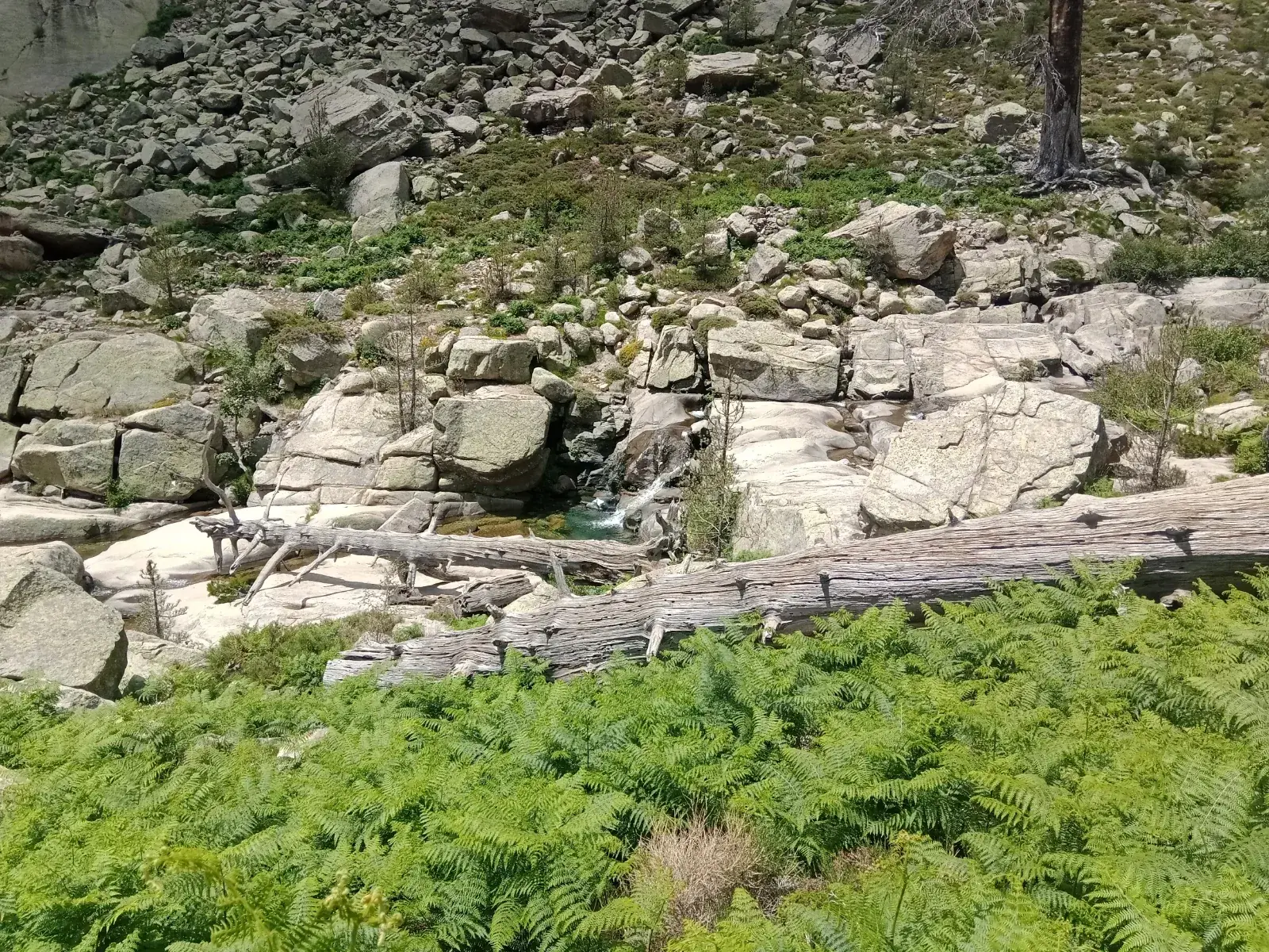 The Radule waterfall, near the Col de Vergio, Corsica